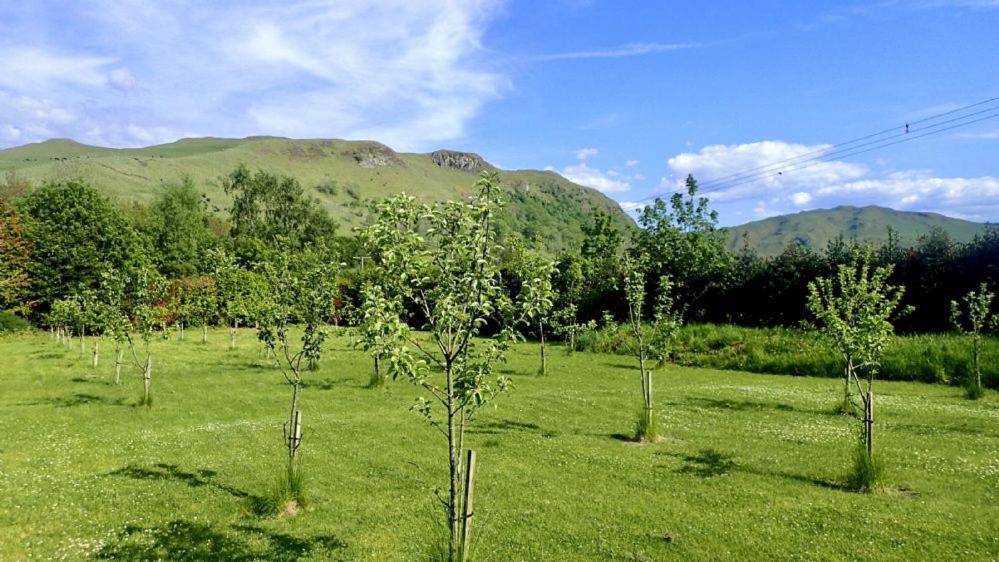 Вилла Balcraig House Maybole Экстерьер фото